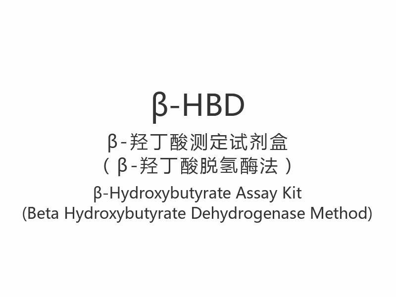 【β-HBD】 β-Hidroxybutyrate Assay Kit (Modh Beta Hydroxybutyrate Dehydrogenase)